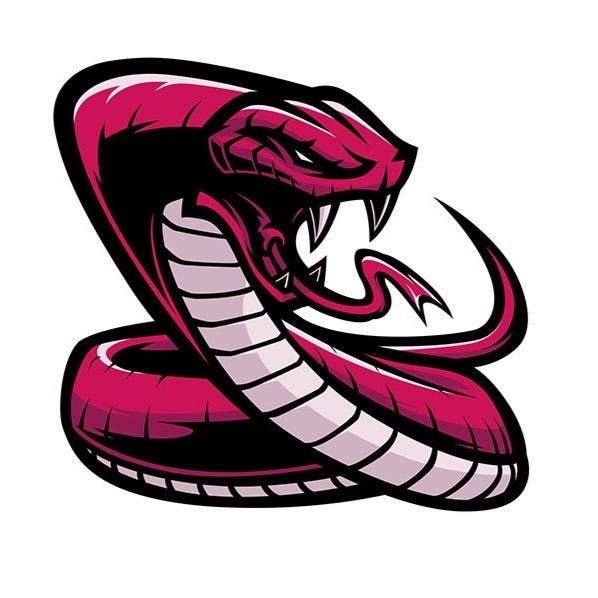 North Brisbane Snake Catcher Logo