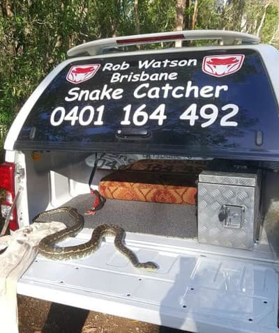 Robert Watson's ute