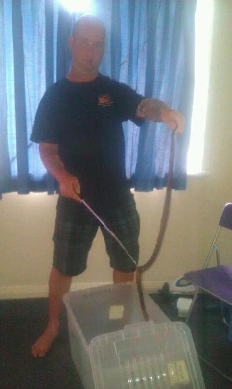 Rob with pet carpet python